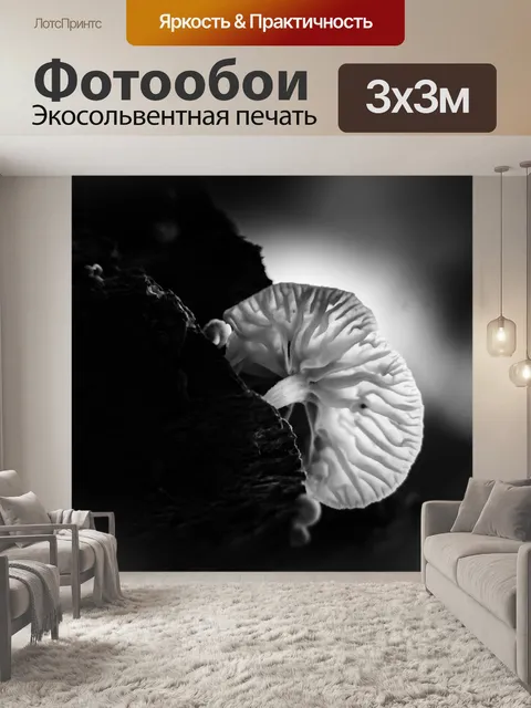 Фотообои Природа
