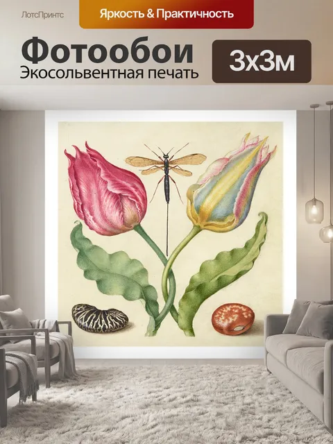 Фотообои Винтажное искусство из ракушек