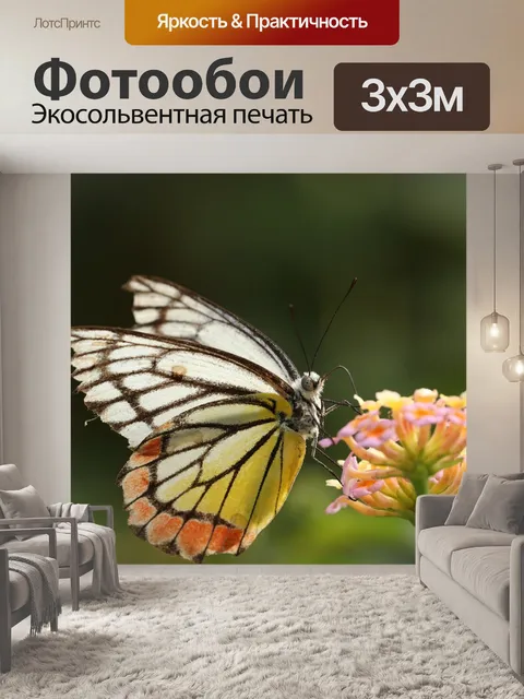 Фотообои Бабочка