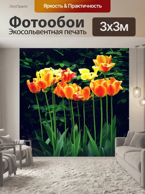 Фотообои Тюльпан