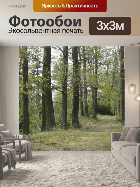 Фотообои Лес
