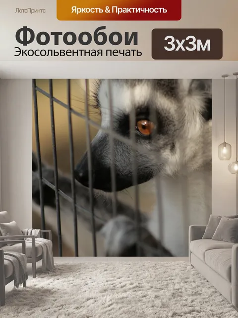Фотообои Животное Behind Bars