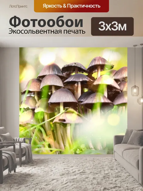 Фотообои Лес