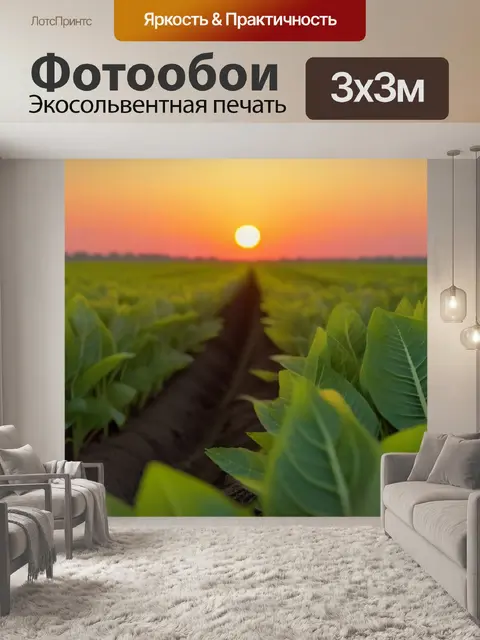 Фотообои фрукты на поле при закате