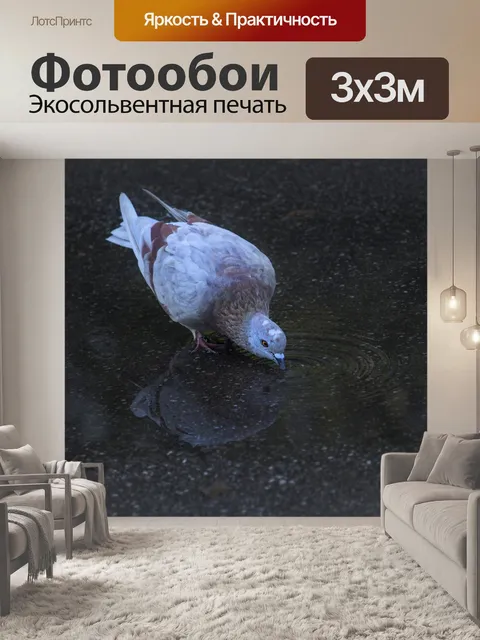 Фотообои Птица