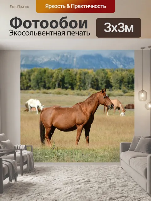 Фотообои Лошадь
