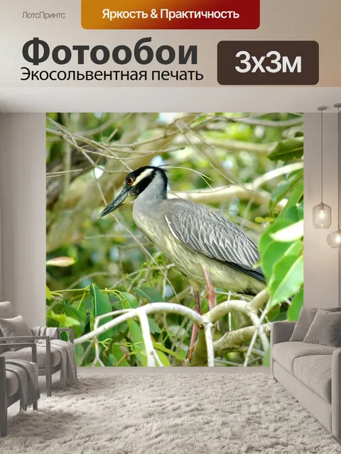 Фотообои Ночь Heron в дерево