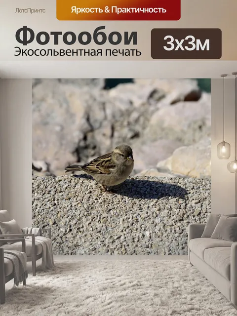 Фотообои Птица