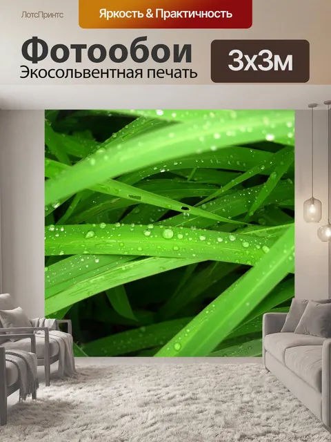 Фотообои Капля воды на листе