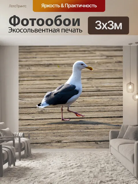 Фотообои чайка идет по пирсу