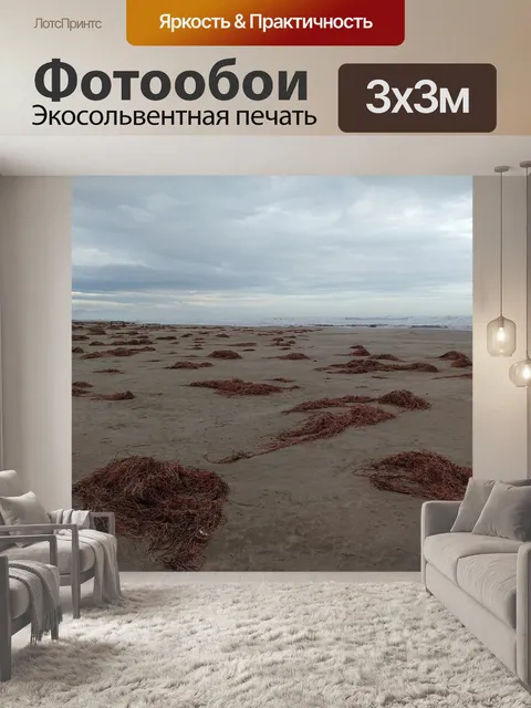 Фотообои Водоросли