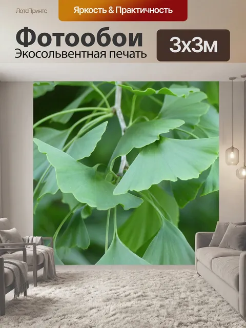 Фотообои Гинкго