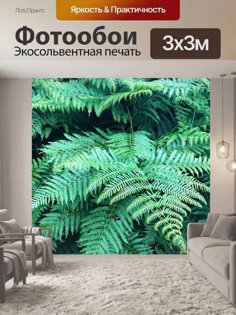 Фотообои Папоротники