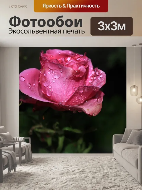 Фотообои Цветок