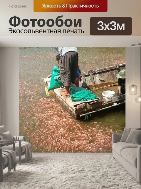 Фотообои Подача