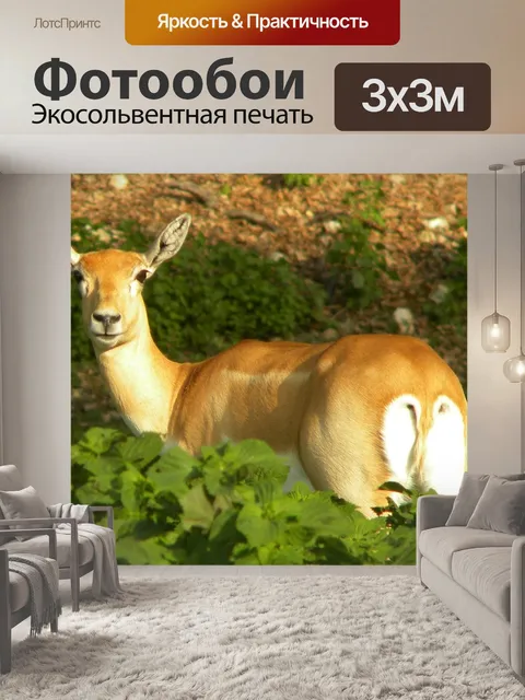 Фотообои Олень