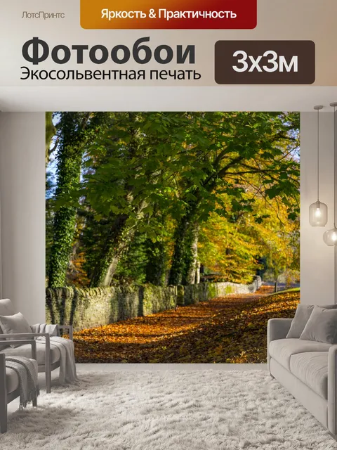 Фотообои Осень Путь