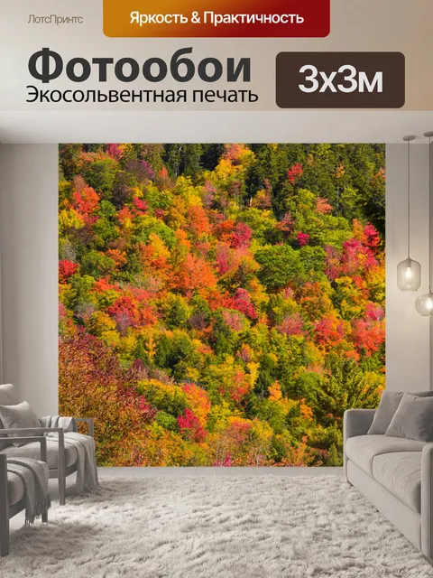 Фотообои Новая Англия листва