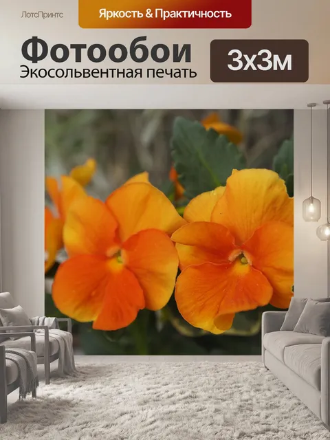 Фотообои Цветы