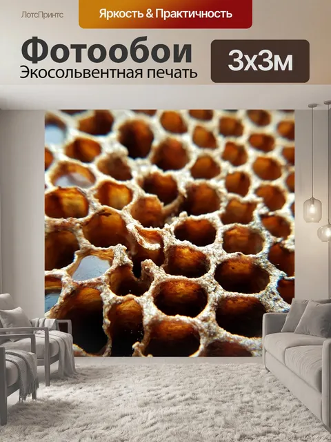 Фотообои Соты