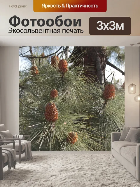 Фотообои Дерево