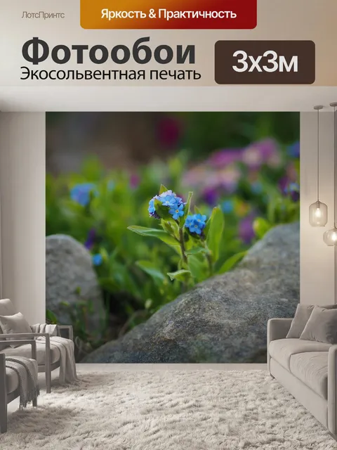Фотообои Незабудка