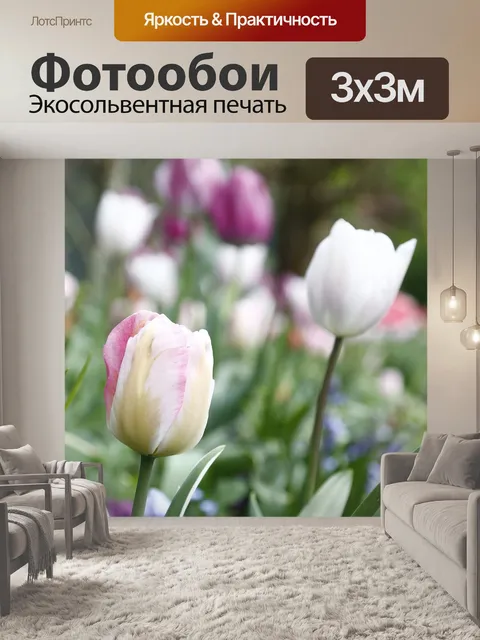 Фотообои Тюльпаны