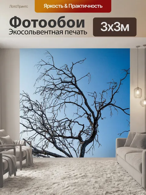 Фотообои Мертвое дерево, силуэт дерева