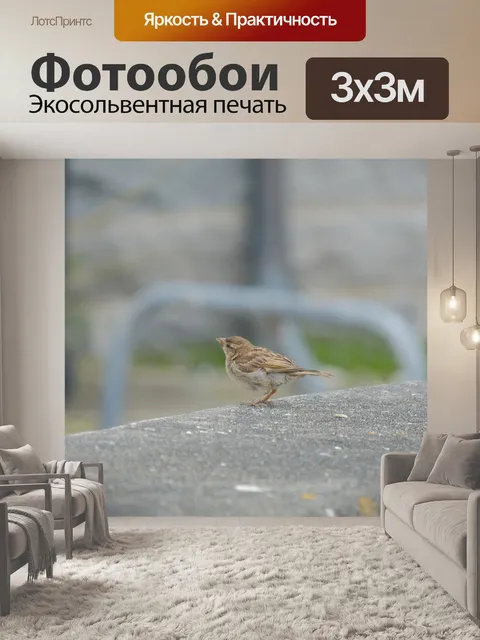 Фотообои Маленький воробей