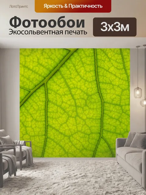 Фотообои Лист