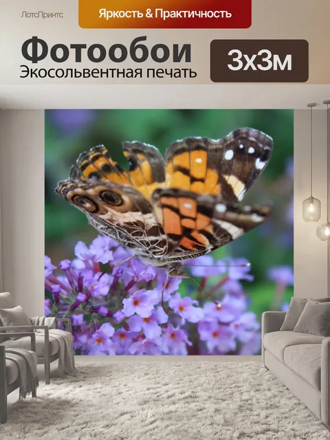 Фотообои Бабочки