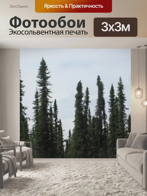 Фотообои Ели