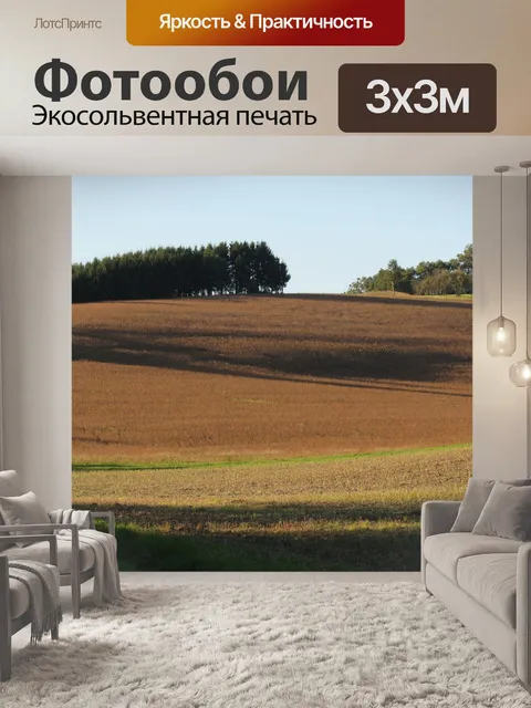 Фотообои Поля