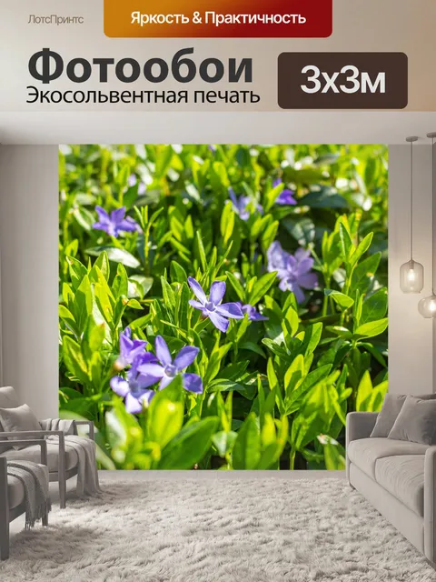 Фотообои Цветы