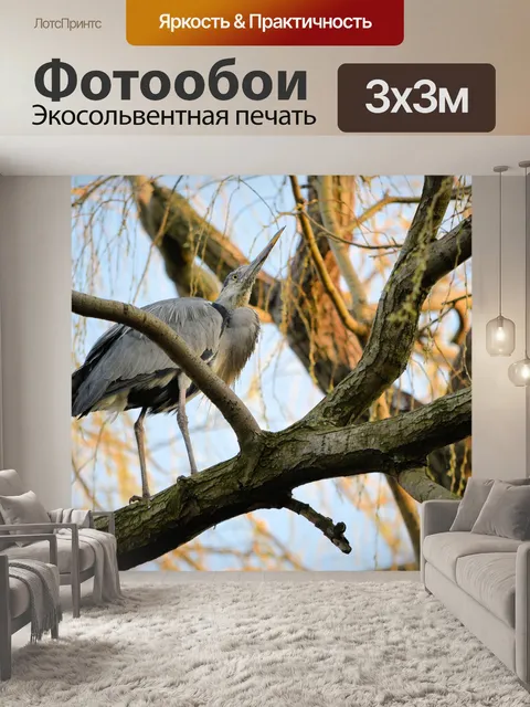 Фотообои Цапля