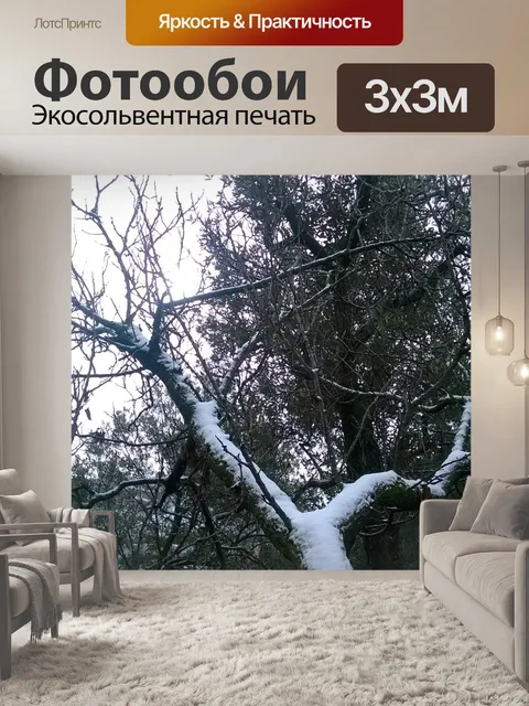 Фотообои Снег