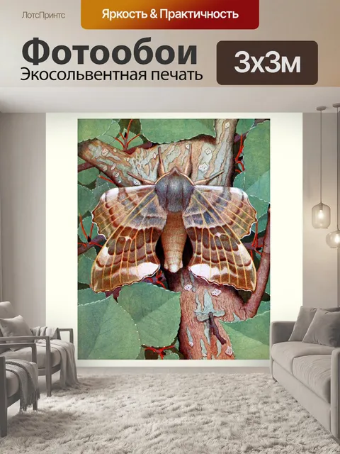 Фотообои Мотылек бабочка винтажное искусство