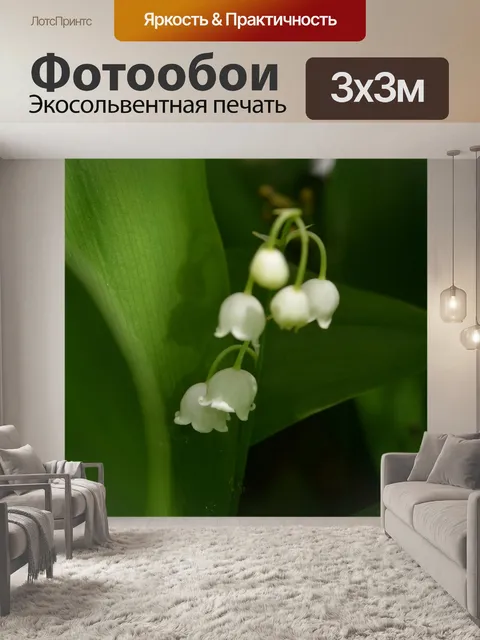 Фотообои Лесной ландыш