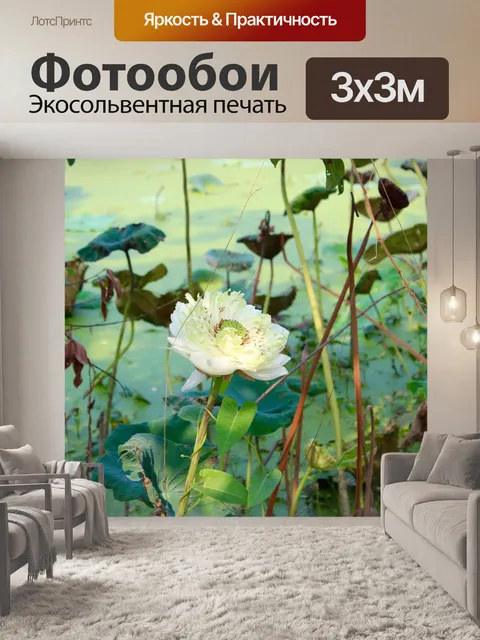 Фотообои Лотос