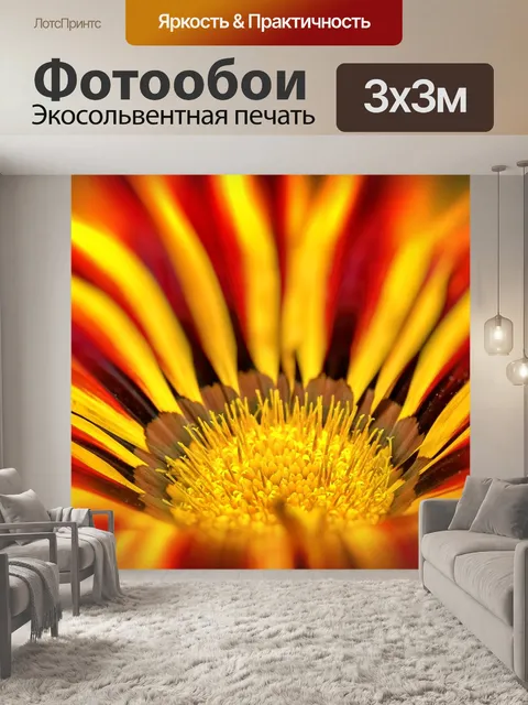 Фотообои Газание