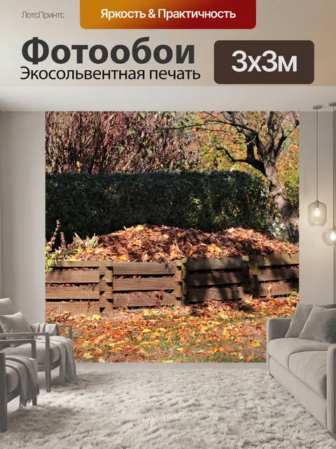 Фотообои Падение