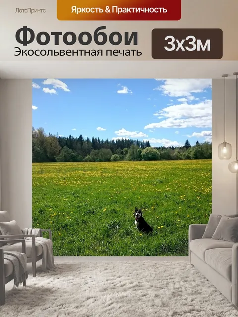Фотообои Природа