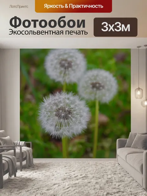 Фотообои Одуванчик