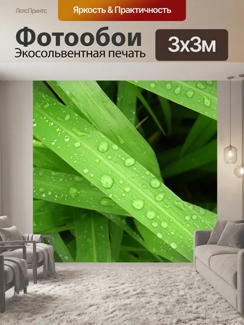 Фотообои Капля воды на листе