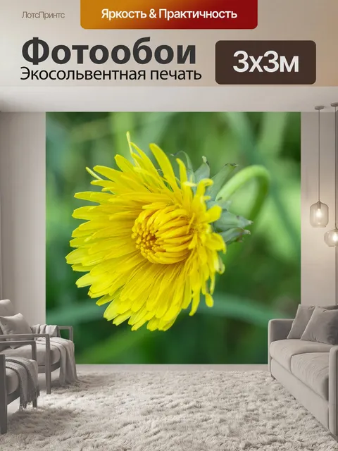 Фотообои Цветок