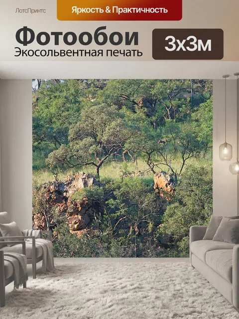 Фотообои дерево и камни
