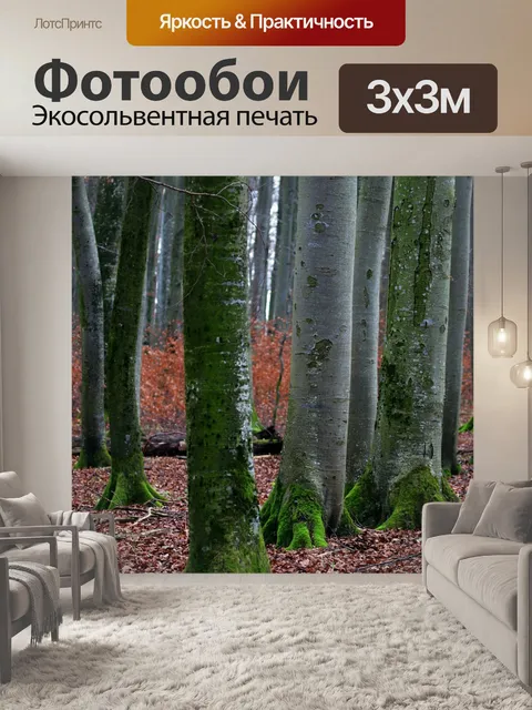 Фотообои Лес