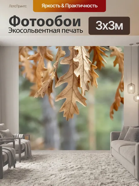 Фотообои Лес