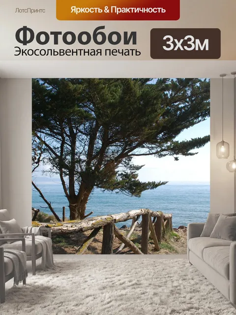 Фотообои Сторона
