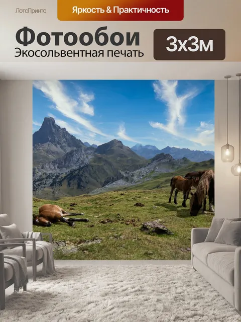 Фотообои Лошади